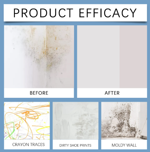 Fast Acting Anti-Mold Wall Cleaner Spray