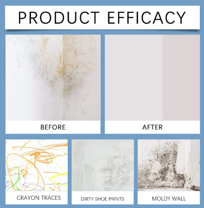 Fast Acting Anti-Mold Wall Cleaner Spray