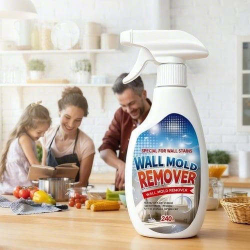 Fast Acting Anti-Mold Wall Cleaner Spray