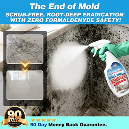 Fast Acting Anti-Mold Wall Cleaner Spray
