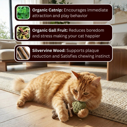 Pawzioo™ Catnip & Silvervine Chew