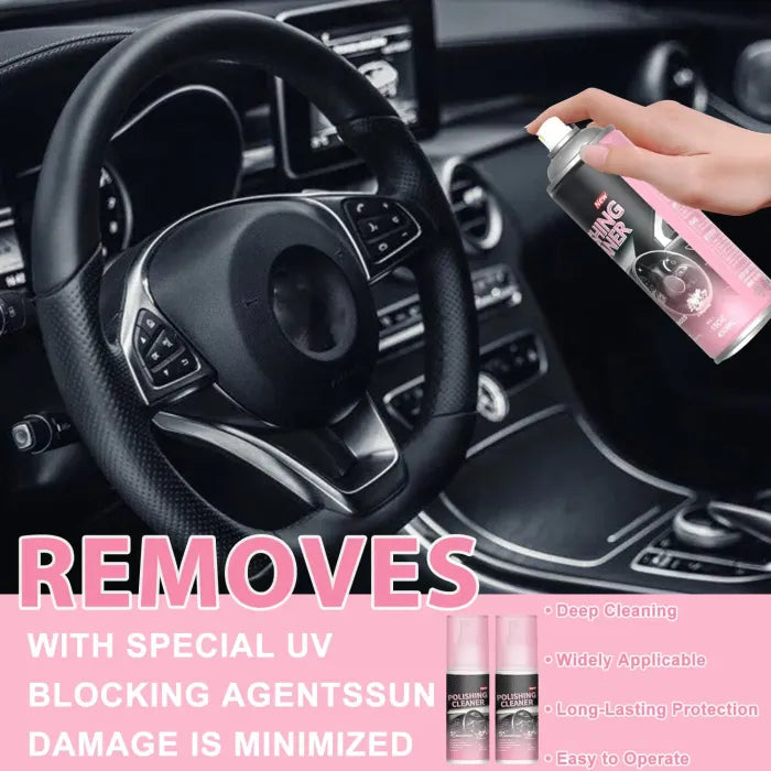 Multi-Purpose Car Interior Cleaner &amp; Polish